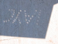 Shape of the partially eclipsed sun