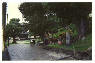 Streets in Nara