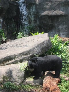 Taipei Zoo 2